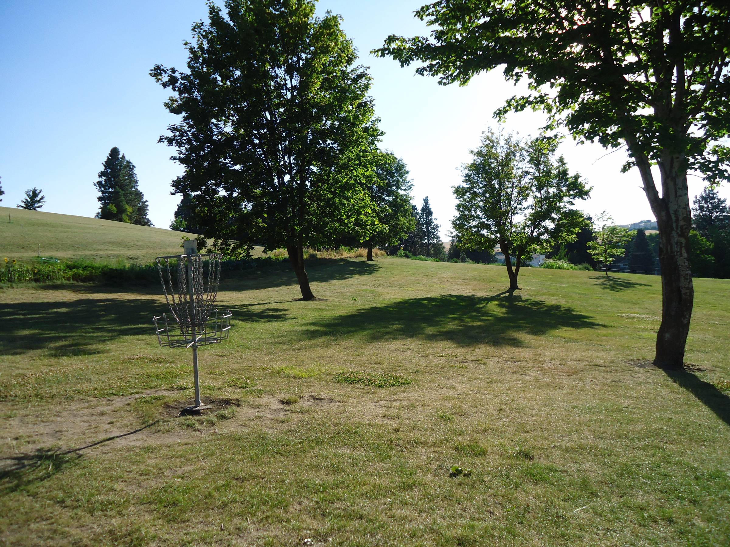 Photo of Sunnyside Park Disc Golf